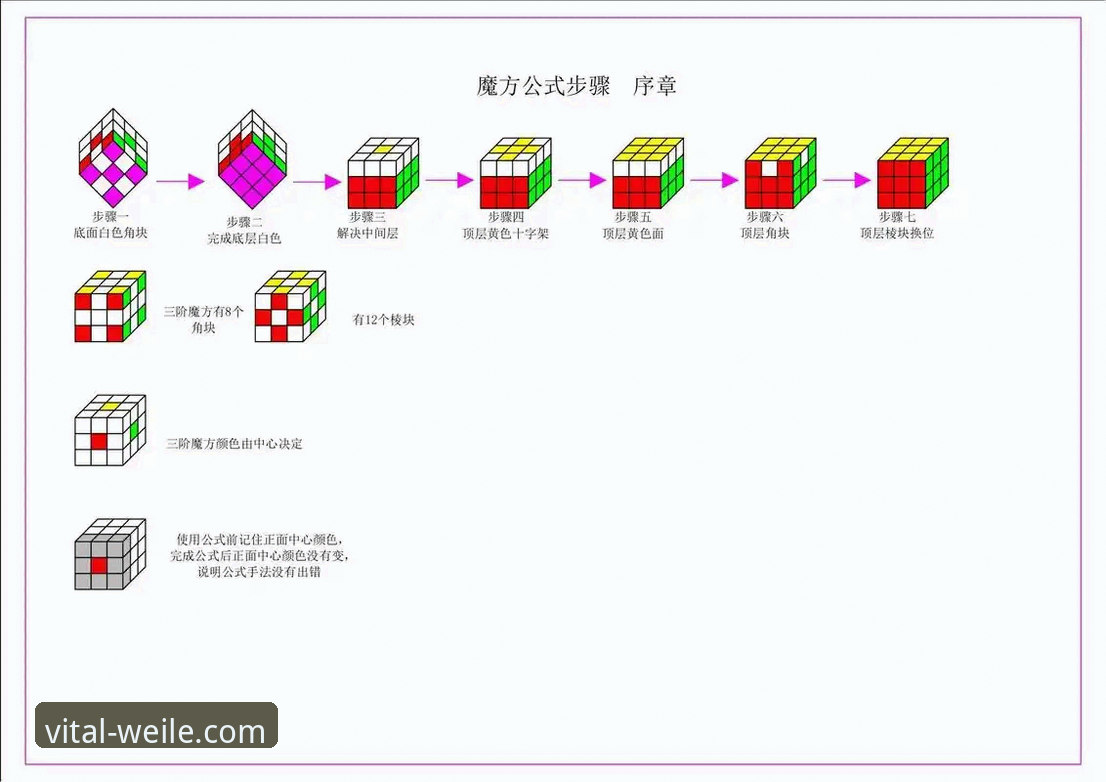 微乐WL使用指南：从入门到精通的完整攻略